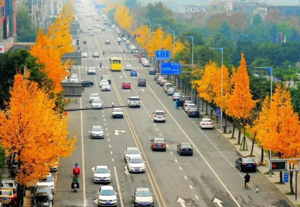 最近,双流人的朋友圈被这两条"网红街"刷屏了!