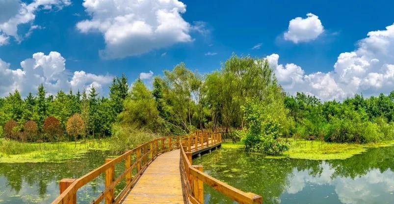 小桥流水,又是另一番景致康家浩湿地公园距离鲁家滩7公里之外的△北林