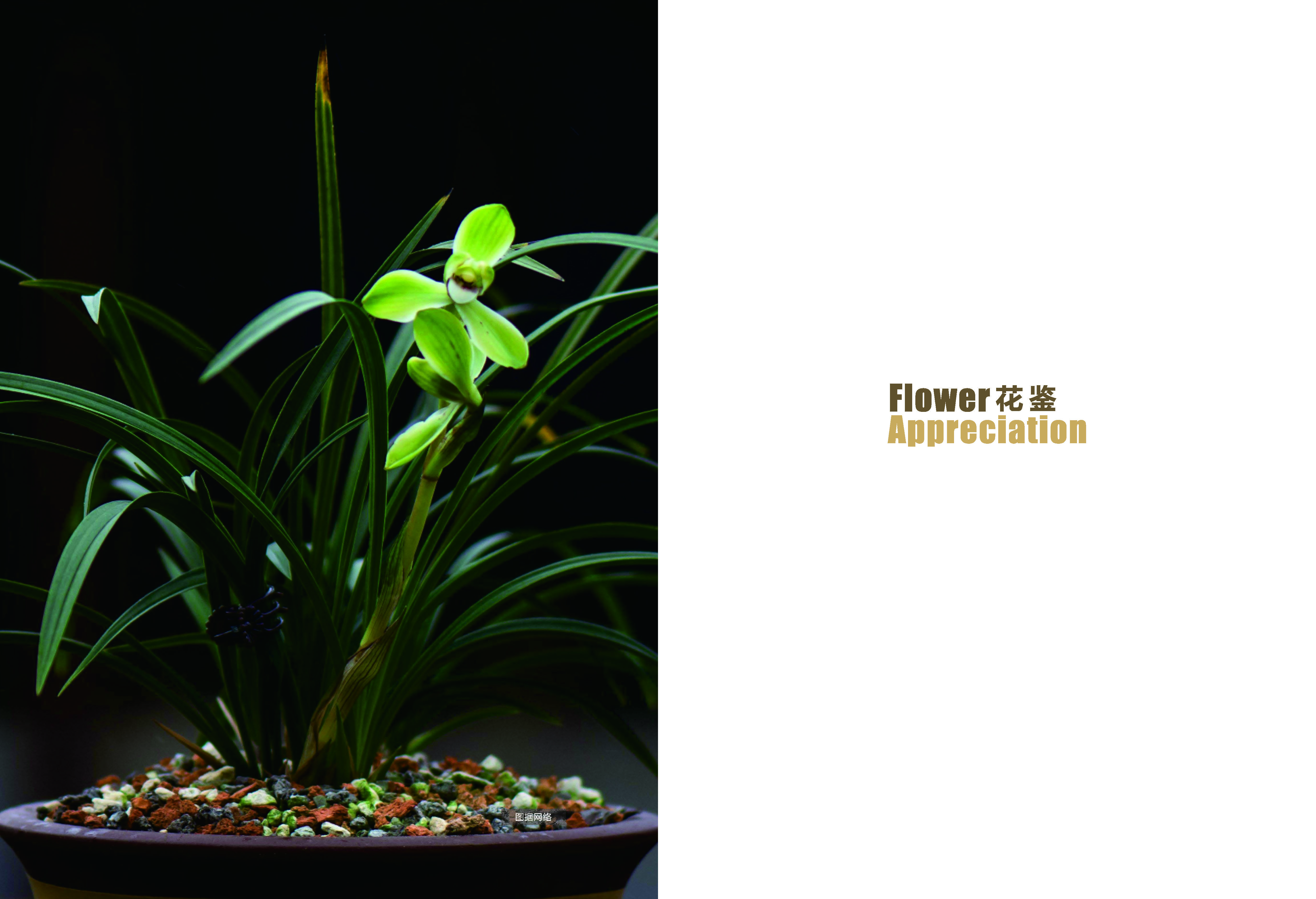 《求解》第3期_39_