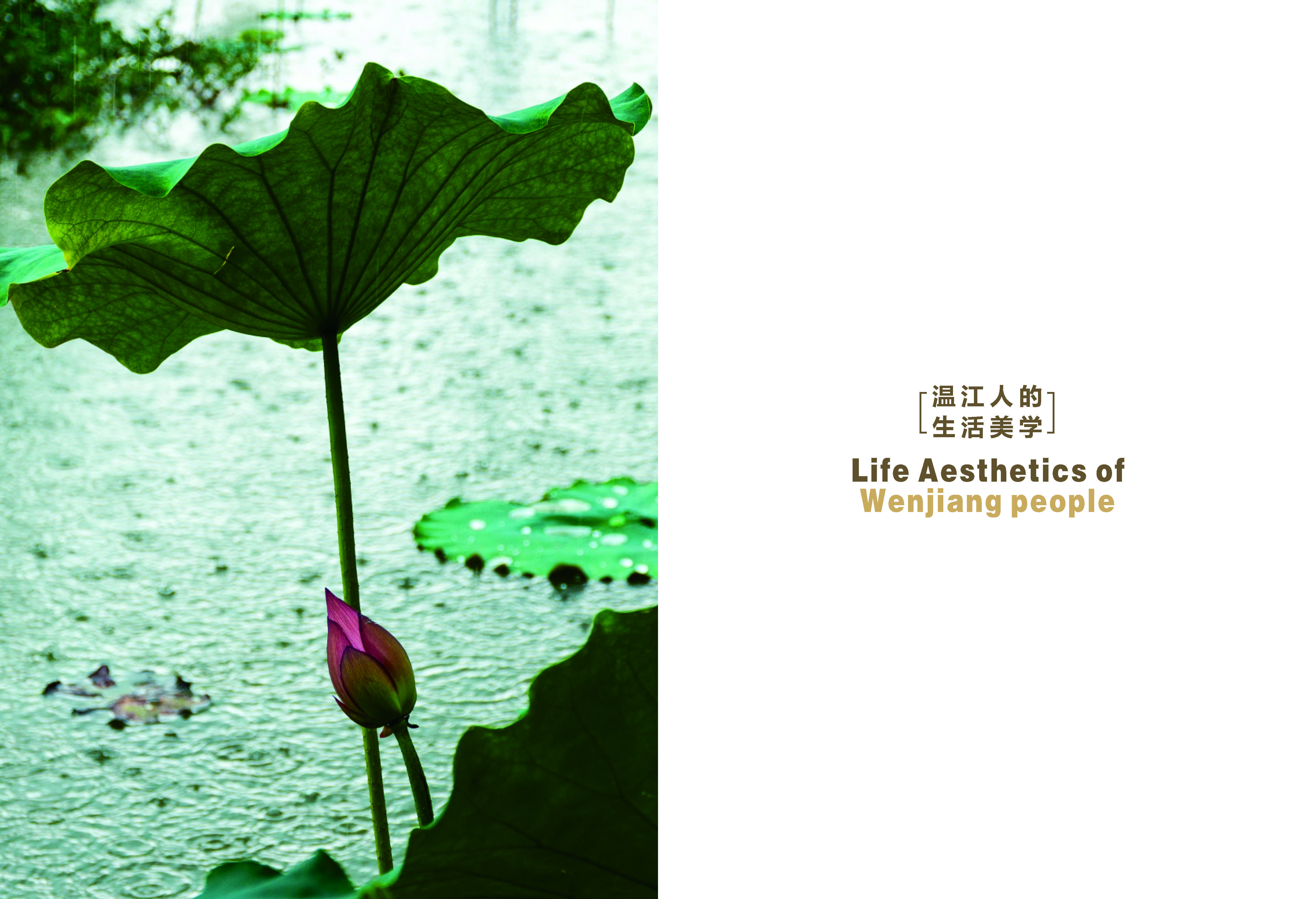 《求解》第3期_31_