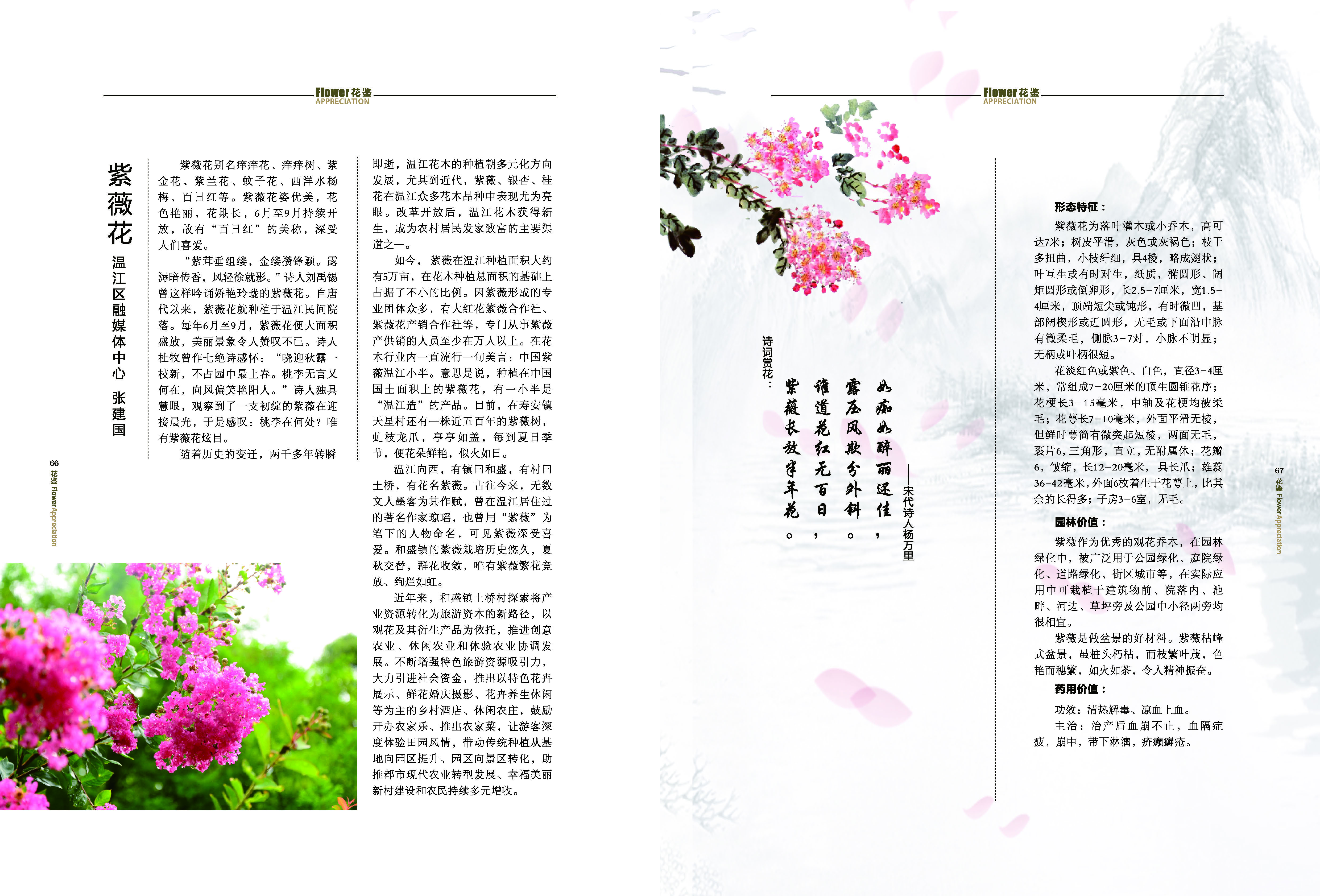 《求解》第2期_35_