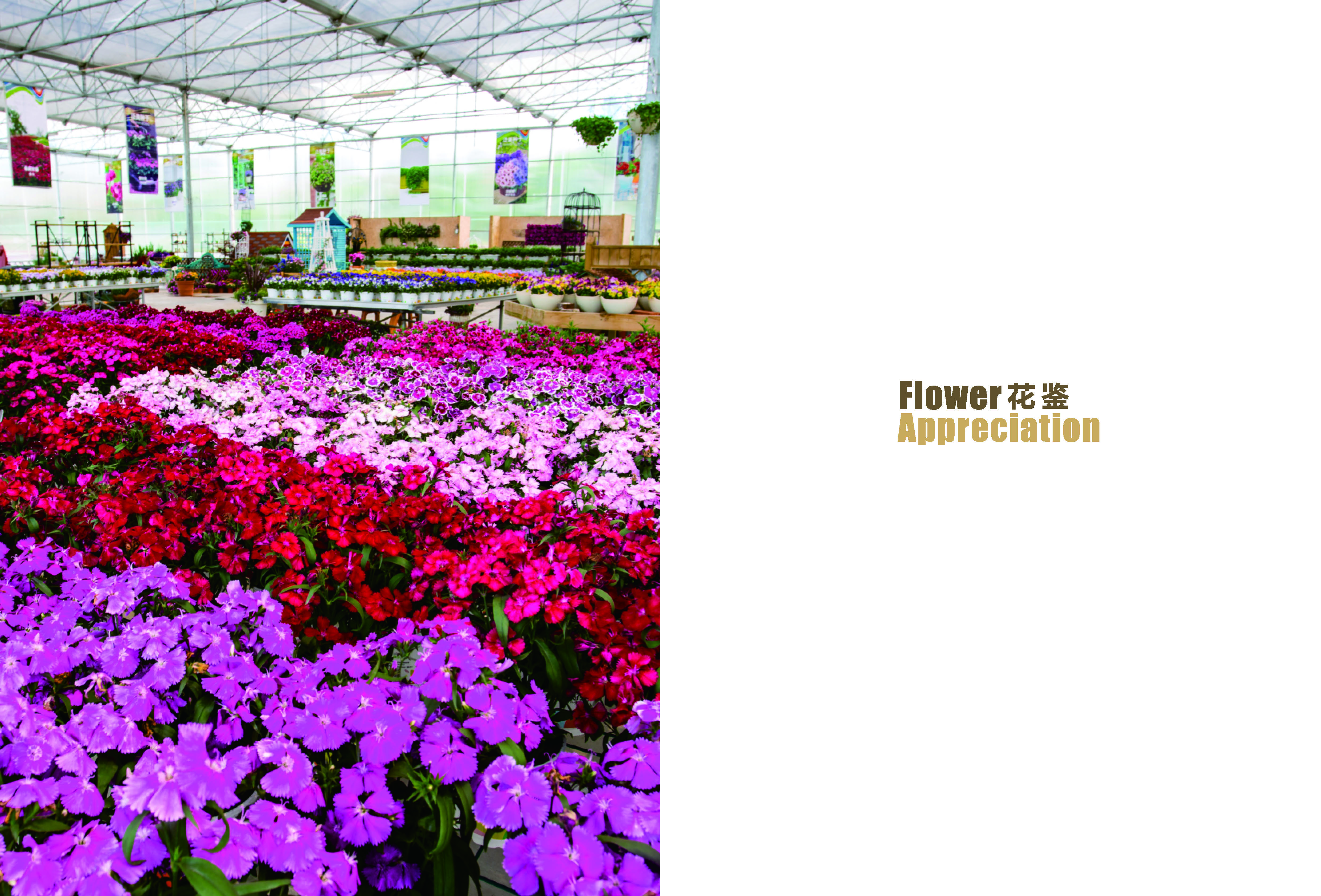 《求解》第2期_34_