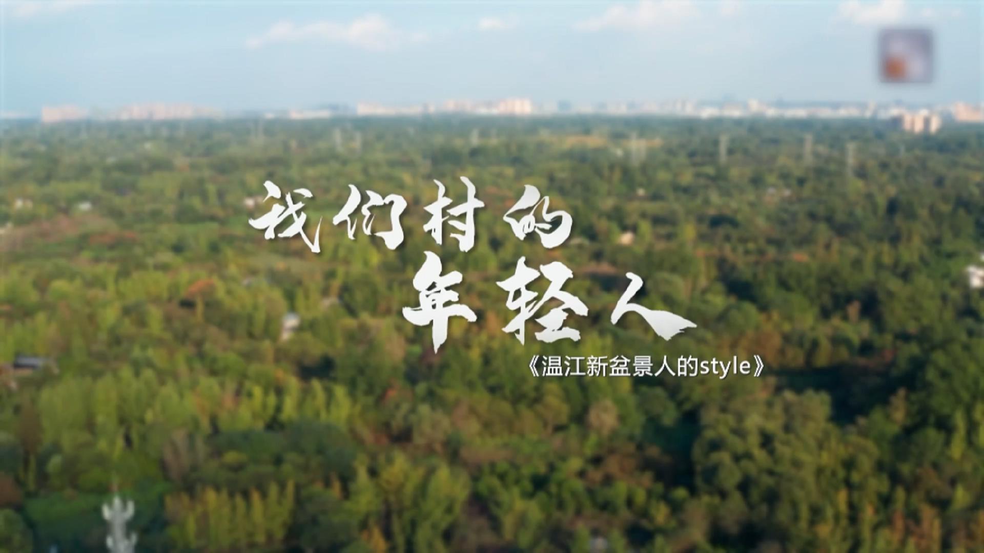 每天10票！为温江新一代盆景人打call