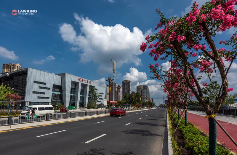 注意！温江公交枢纽站部分线路和班次暂停运营