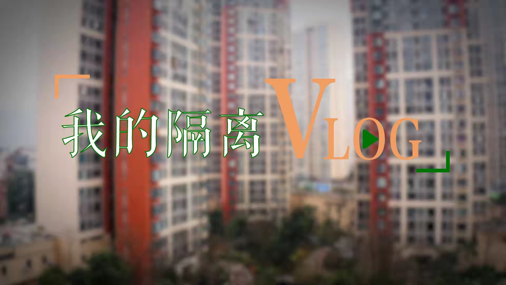 我的隔离vlog
