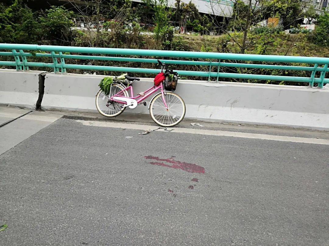 成都交警公布两起非机动车侵走高架桥交通事故案例通报