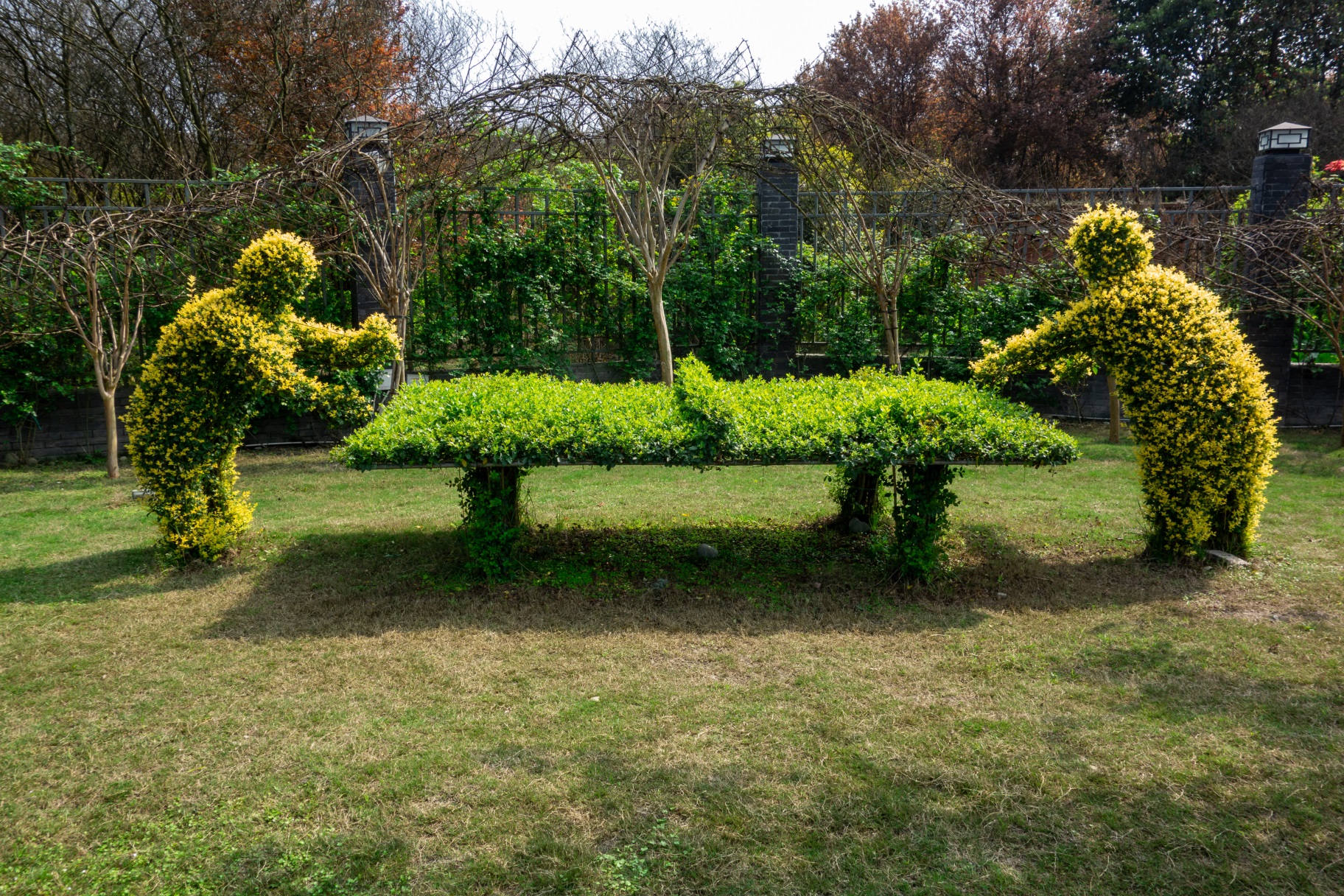 创建国家全域旅游示范区 创建天府旅游名县 | 川派盆景博览园——走进温江先锋村，走进川派盆景
