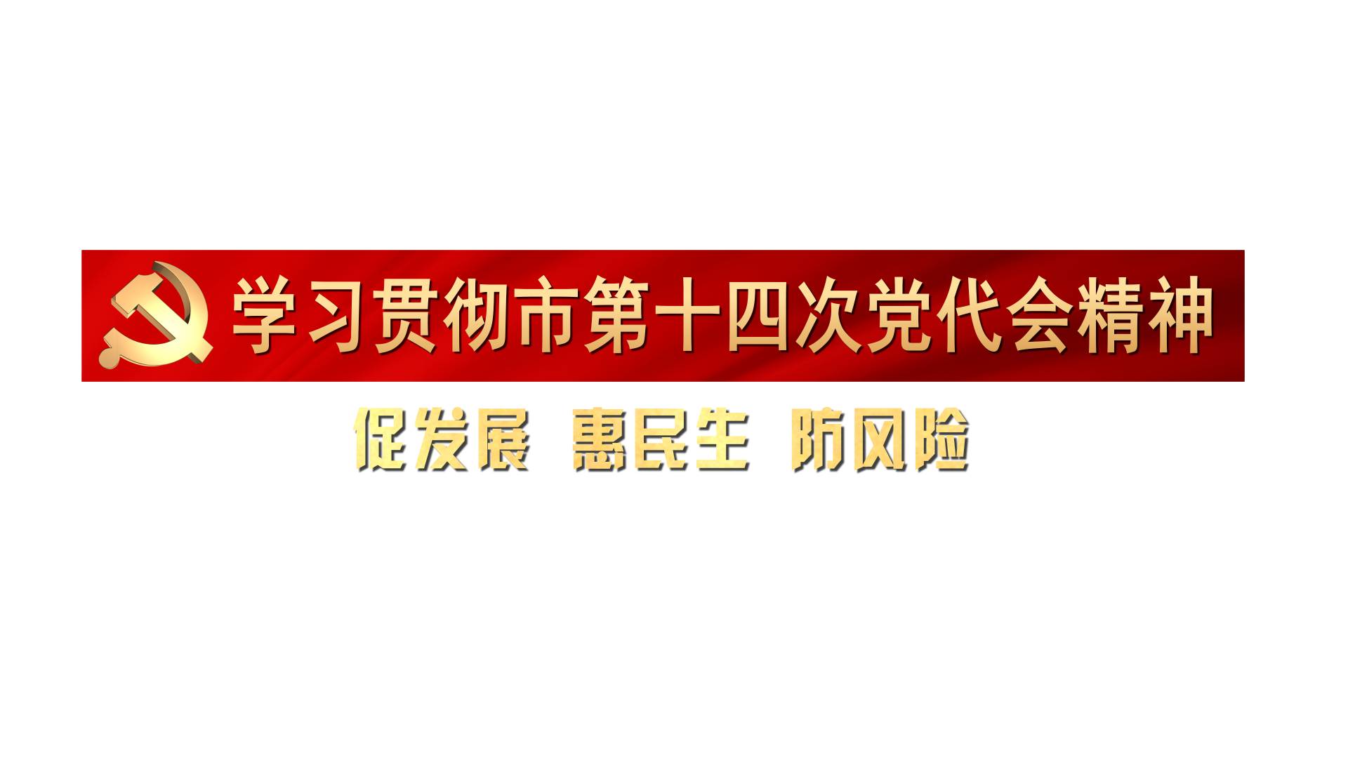 学习贯彻市第十四次党代会精神