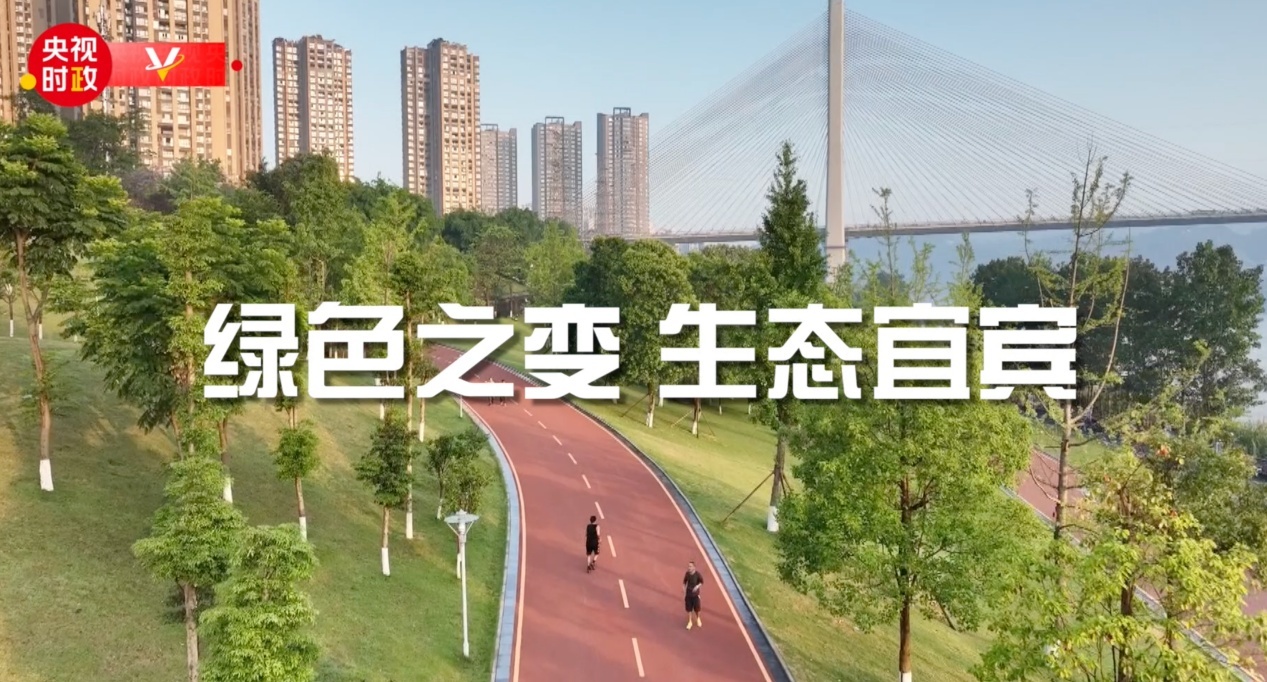 习近平四川行丨三江交汇 生态先行——走进宜宾三江口