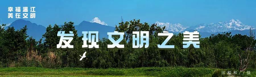 公交司机突感不适紧急停车,乘客们的反应令人暖心……
