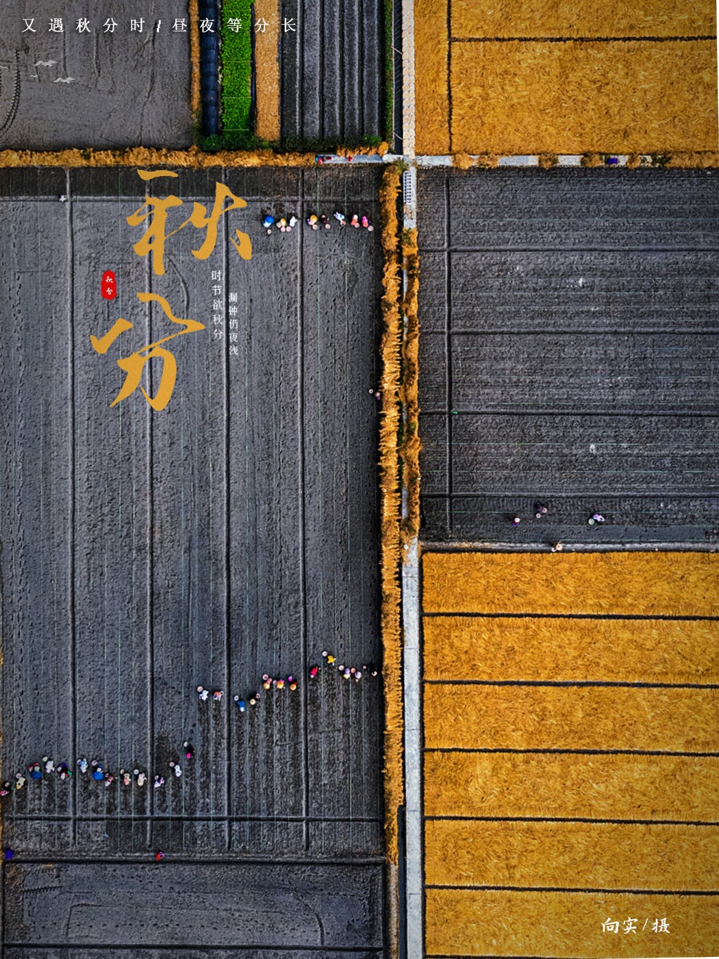 2bb1166b5f920dff014db78215de6a5.jpg 2bb1166b5f920dff014db78215de6a5.jpg