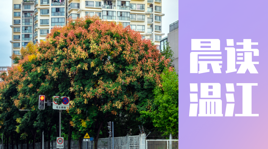 晨读温江丨拼经济、抓项目、稳增长！温江区发布投资机会清单