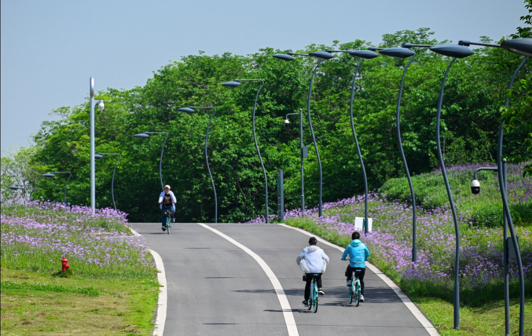 成都首次制定文明行为促进条例，12月1日起施行