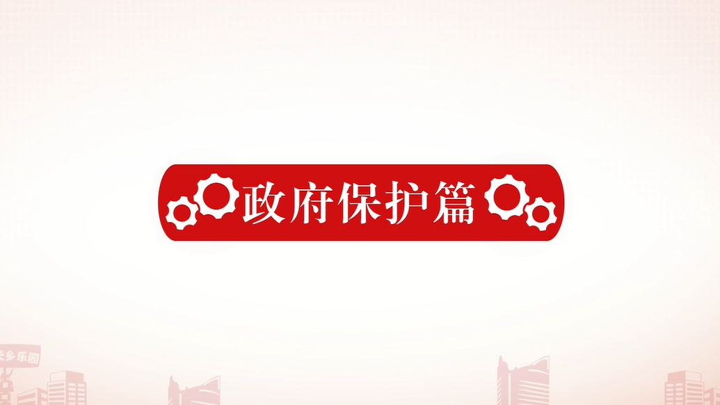 政府保护篇