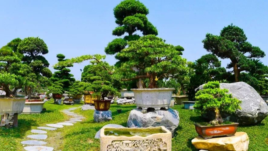 NEWS ‖ The Fifth List of A-level Linpan Scenic Areas in Chengdu is Released and Two from Wenjiang are on the List成都市第五批A级林盘景区出炉，温江新上榜2处