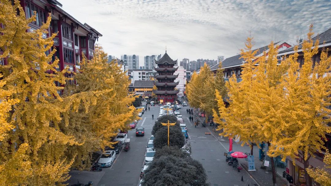 元旦耍温江！五大不同主题游玩地点，等你来打卡~