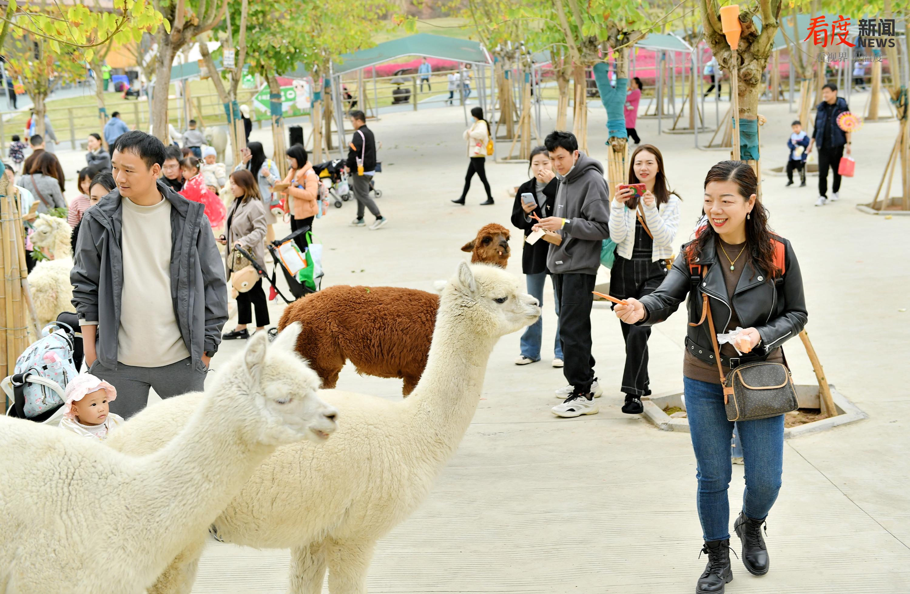 3ca31a25ba8d4c4f821158524515db13.png 3ca31a25ba8d4c4f821158524515db13.png