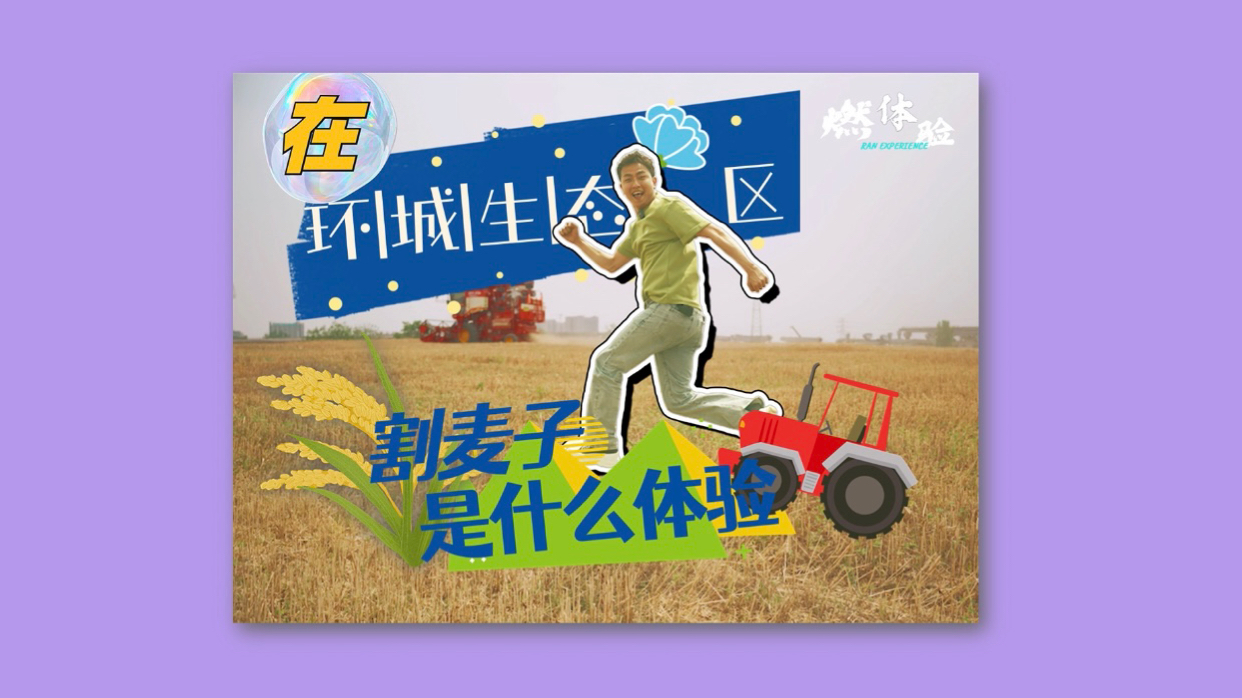 燃体验｜在环城生态区割麦子是什么体验？