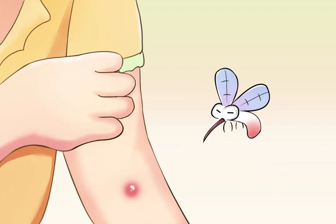 这才是夏季驱蚊最有效的办法→