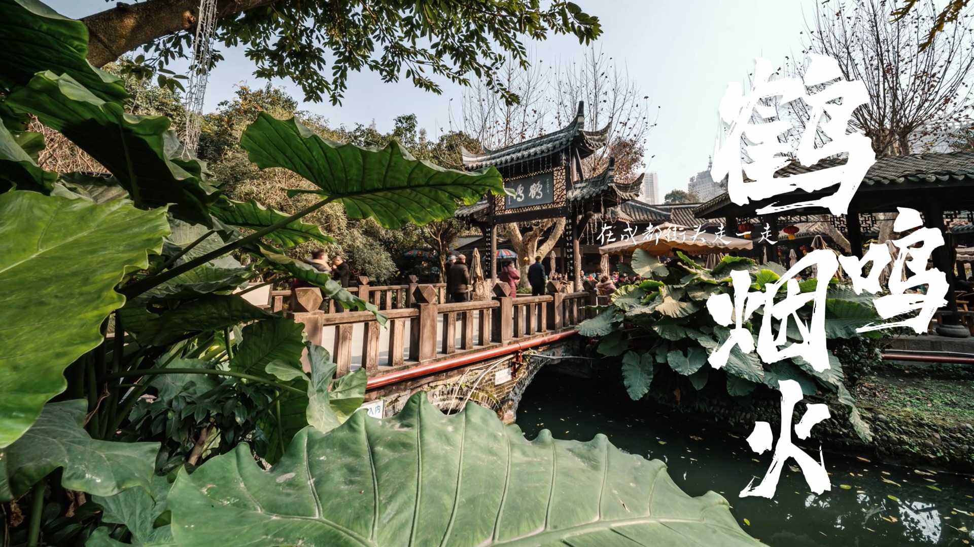 成都City walk指南 | 到鹤鸣茶社 探寻成都的老味道！