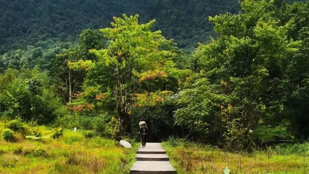 约满！告罄！四川多家景区紧急提醒！