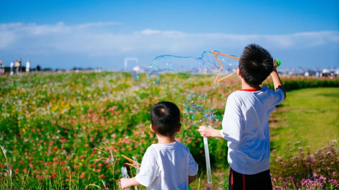 到成都街头走一走｜国庆出游到空港花田，活动丰富不打挤！