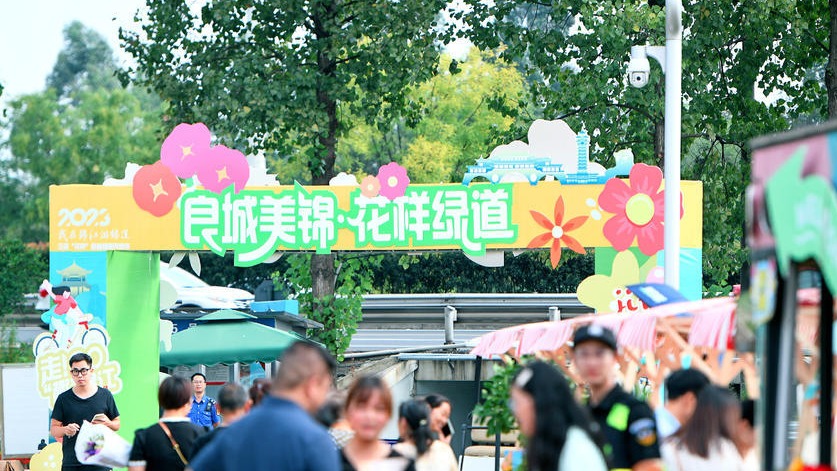 到成都街头走一走｜三圣“花样”后备箱露天集市火热亮相