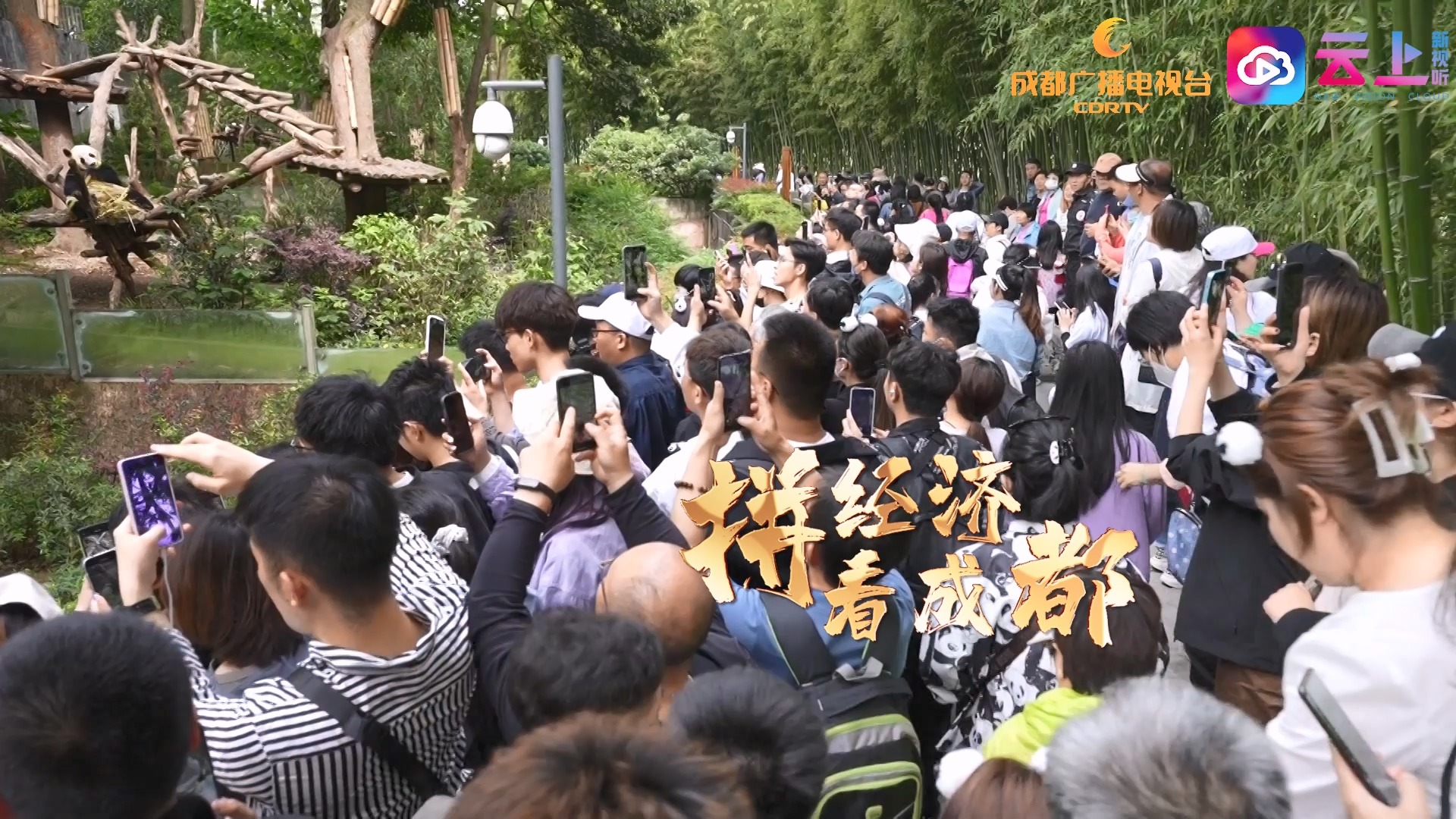 视频丨《拼经济看成都》这个“加量版”黄金周 成都文旅消费市场有多火？咱们用数据说话 