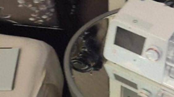 40岁就要终身佩戴呼吸机！奥运冠军杨威自曝患上这种疾病 严重时会导致猝死