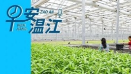 早安温江丨新闻来了！