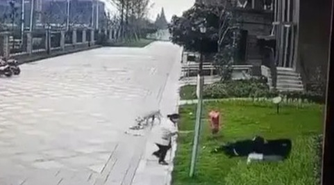崇州被狗咬伤小女孩正在救治 目前狗主人仍在寻找中