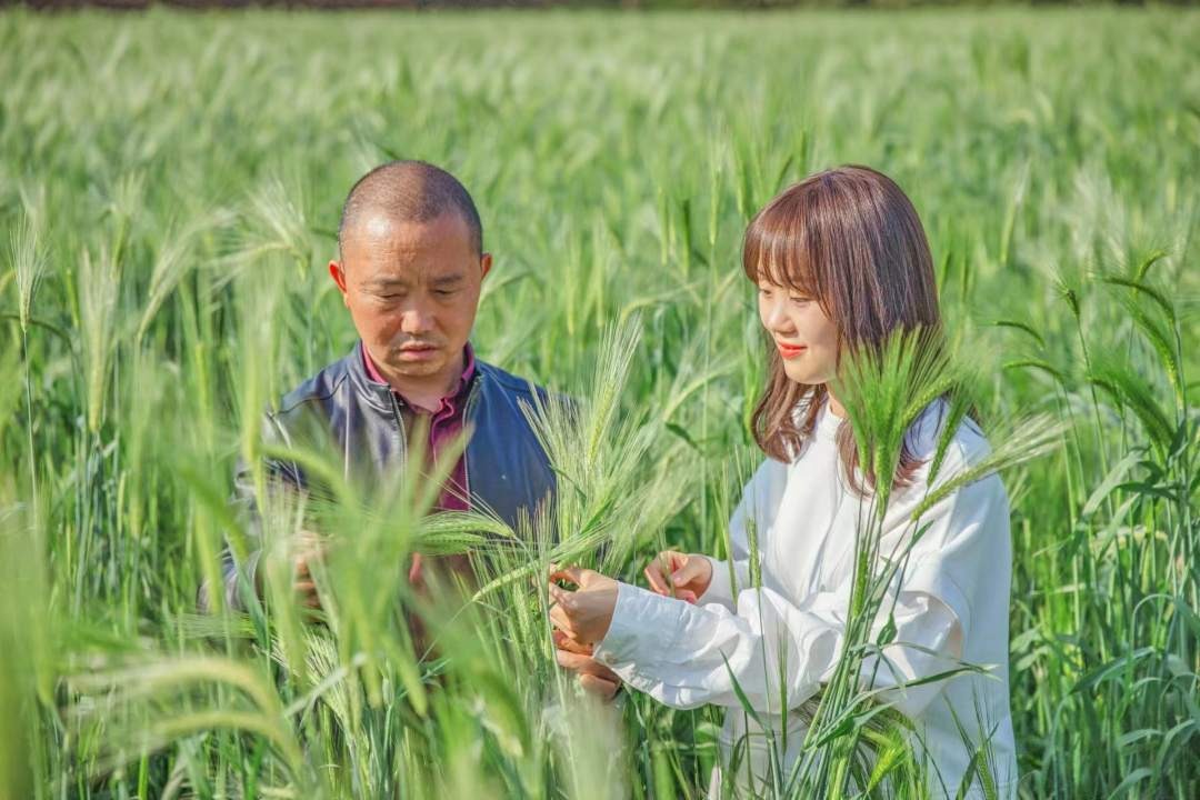 高质量发展调研行 | 90后川妹子当上农业经理人，听她如何“七十二变”