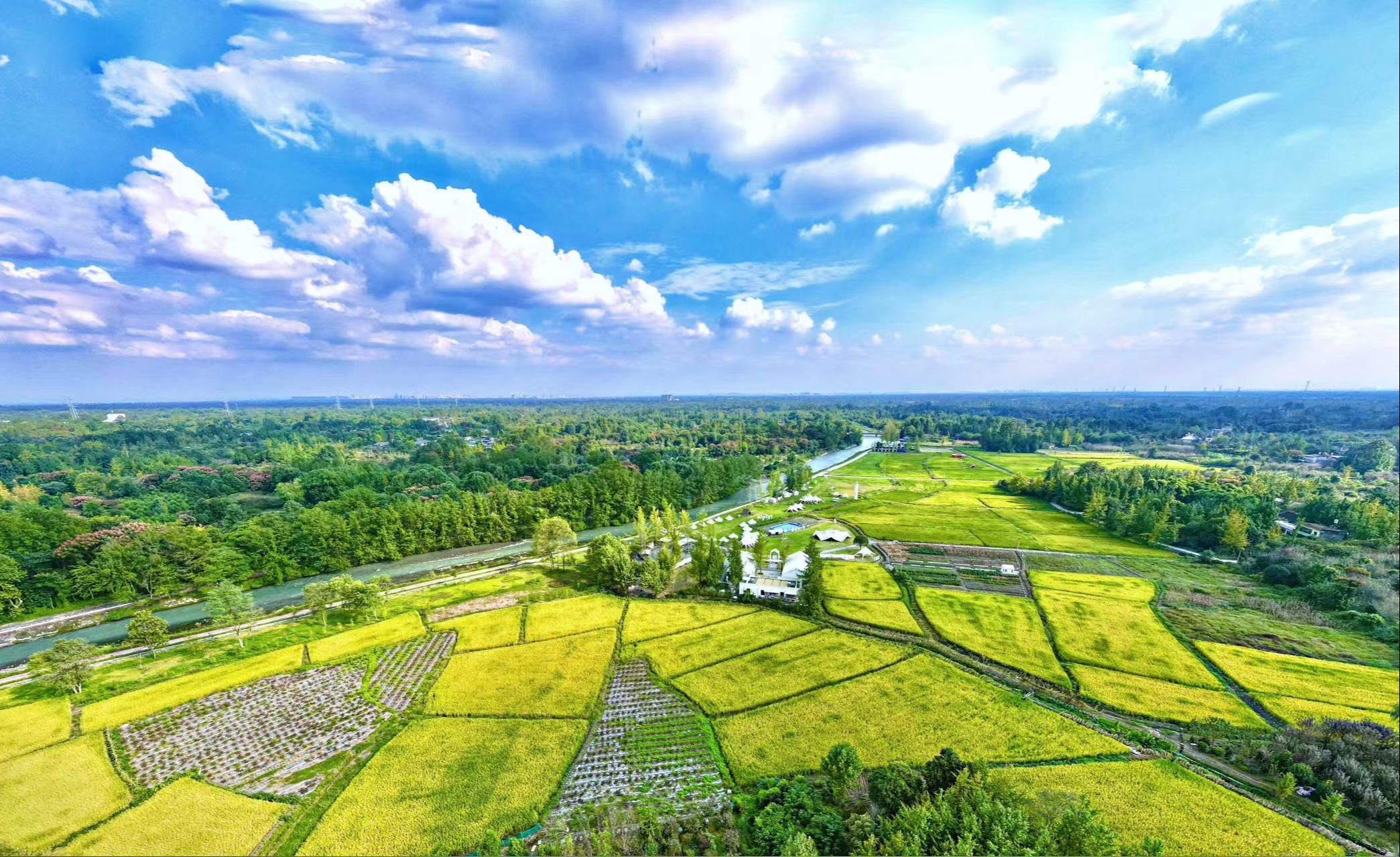 人民日报点赞四川：良田种粮好“丰”景