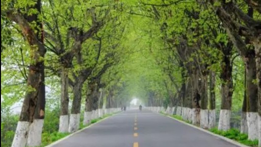 摄像摄影类、表演类、朗诵类|投票开始啦！快来为你喜欢的作品打call！