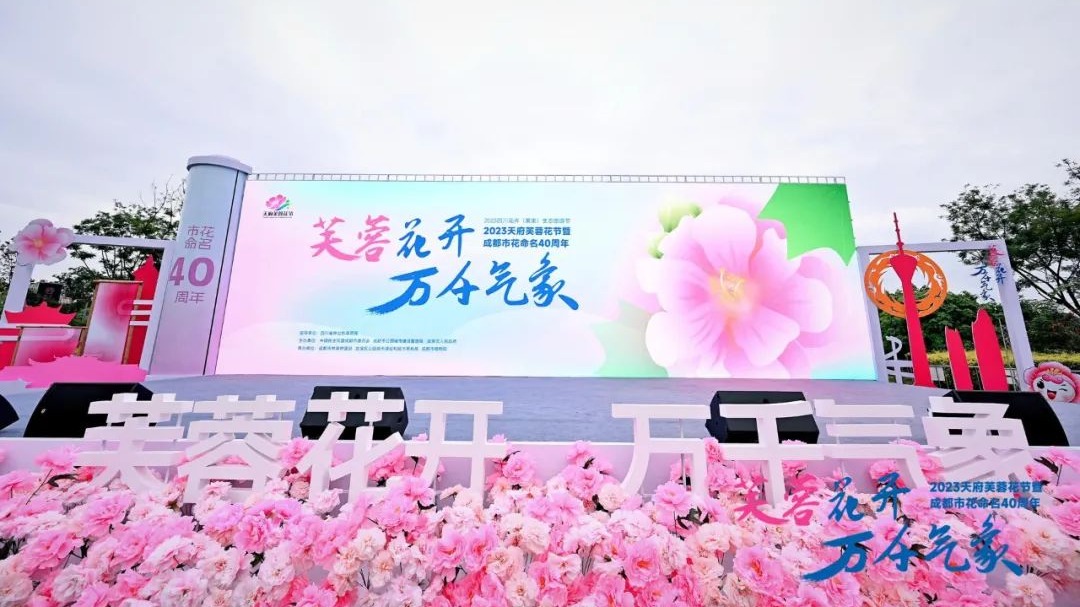 赏花总面积达12万平方米 2023天府芙蓉花节今日开幕