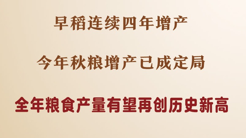 今年秋粮增产已成定局 全年粮食产量有望再创历史新高