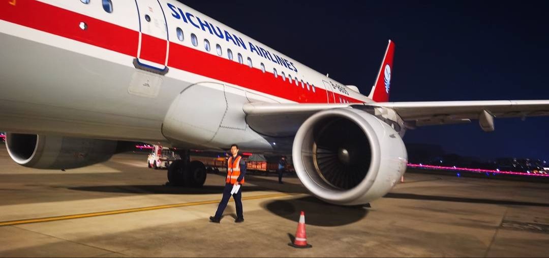 成都飞北京一航班遭鸟击返航 已降落成都双流机场