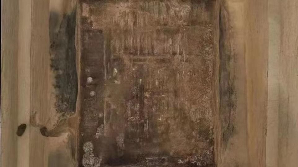 秦始皇帝陵陵西墓葬首次发现国内最早的四轮马车实物资料