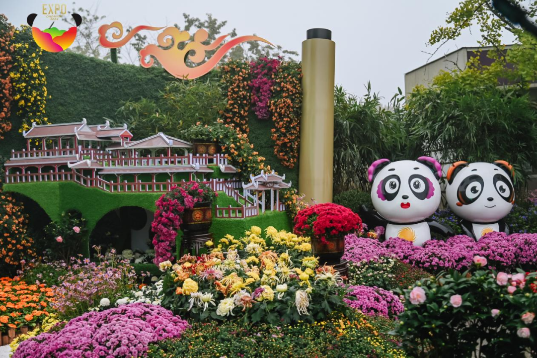 新闻通稿有图成渝双城再续绿色情缘434.png