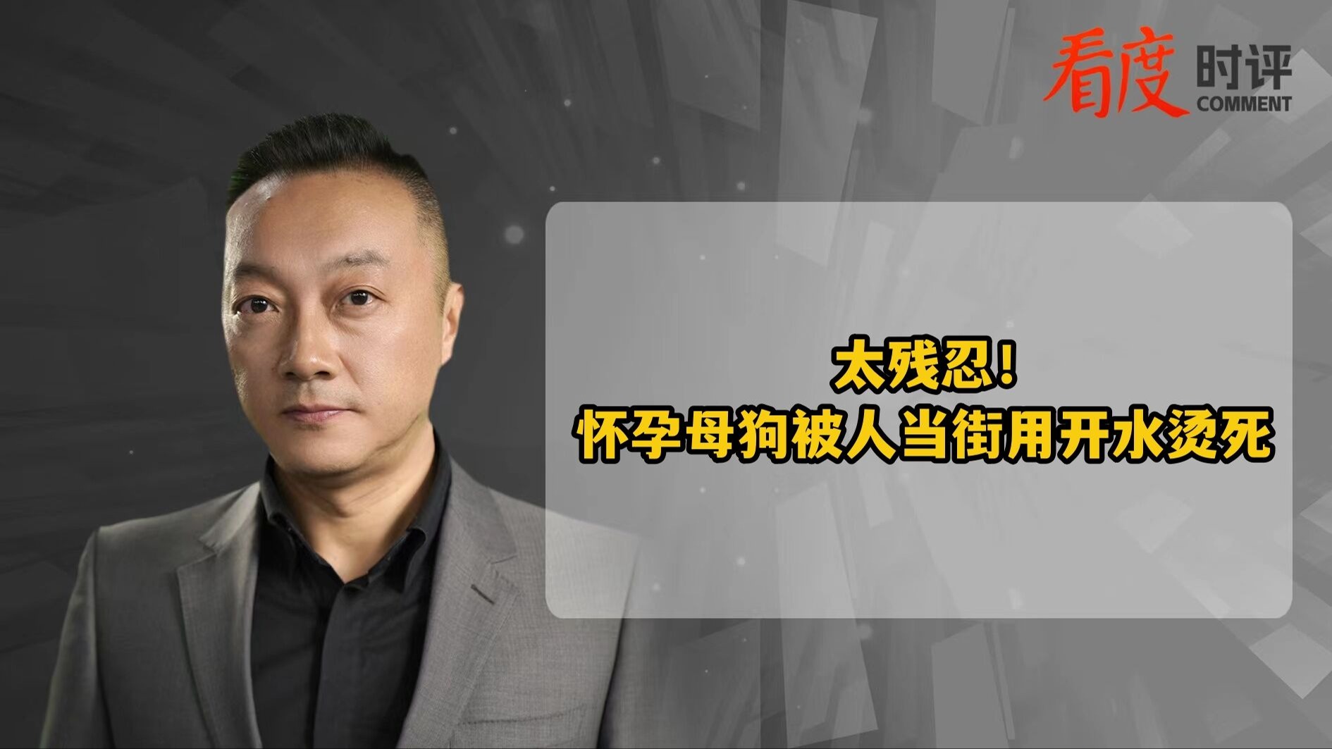 时评｜怀孕母狗被人当街用开水烫死 不尊重生命 是人性最大的恶！