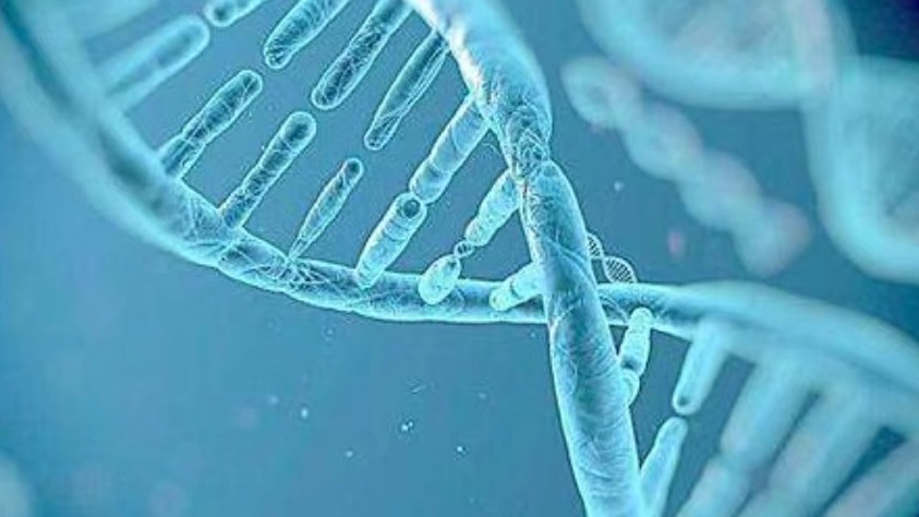 国家安全部：小小基因如何引发生物安全“龙卷风”