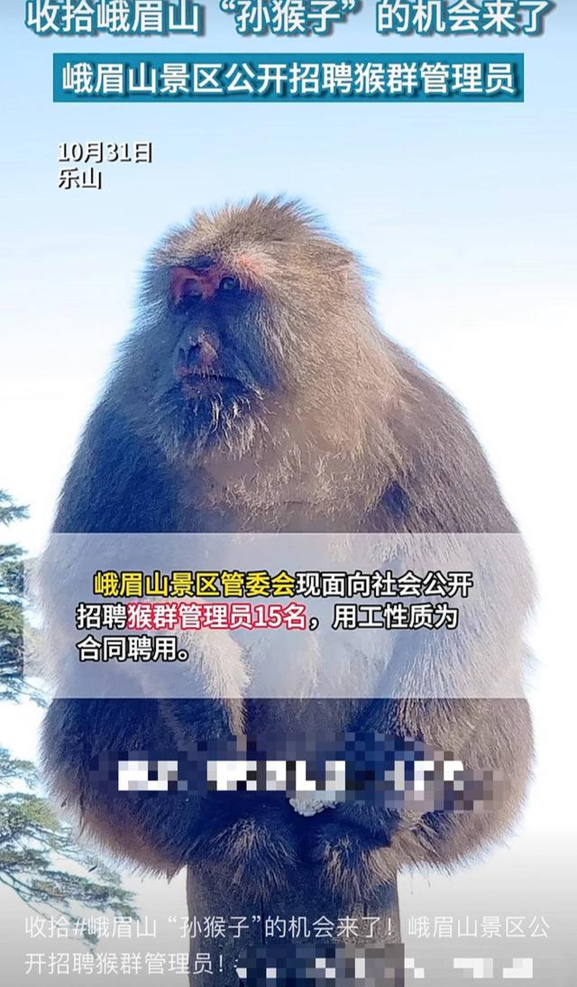 1698816082891.png