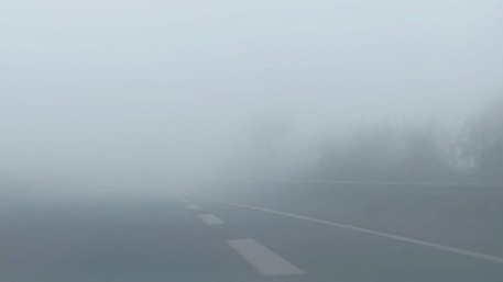 蓉城早间有雾盆地局地阵雨 秋冬到来大雾多发出行需注意
