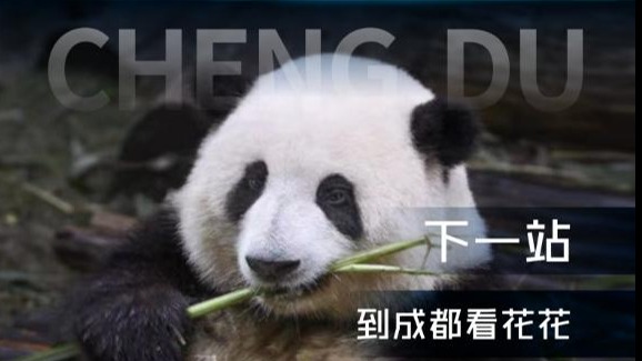 成都文旅走进昆明推介 诚邀云南朋友到成都街头走一走