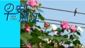 早安温江丨新闻来了！