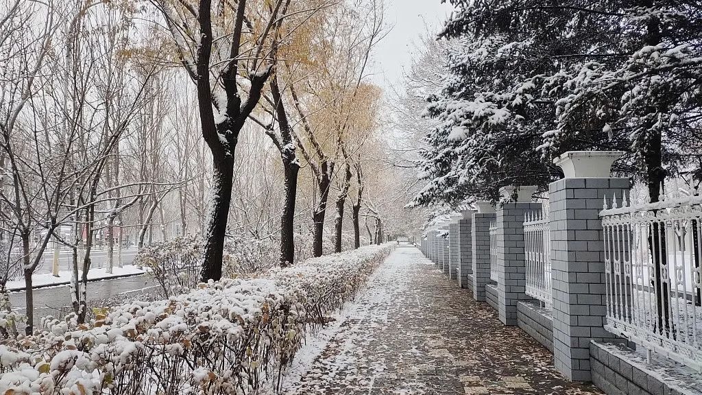 大暴雪来袭！多地紧急通知：停课、停运、停航