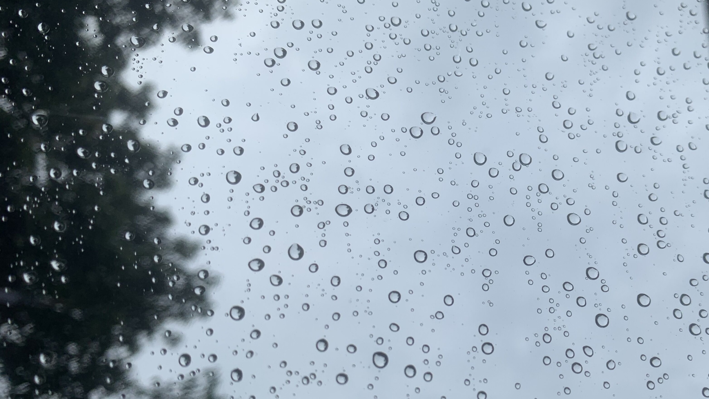 四川盆地近日多云有分散阵雨 本周还将有两股冷空气影响我国