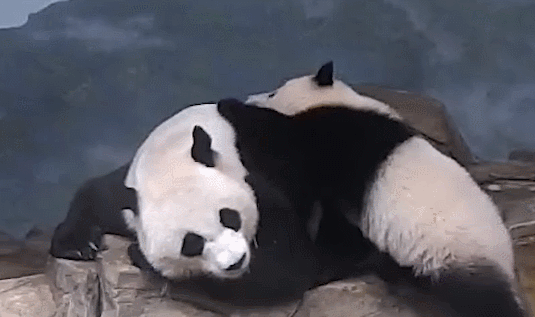 cbb7f3ff09b0b46134615c38f68e4282.gif