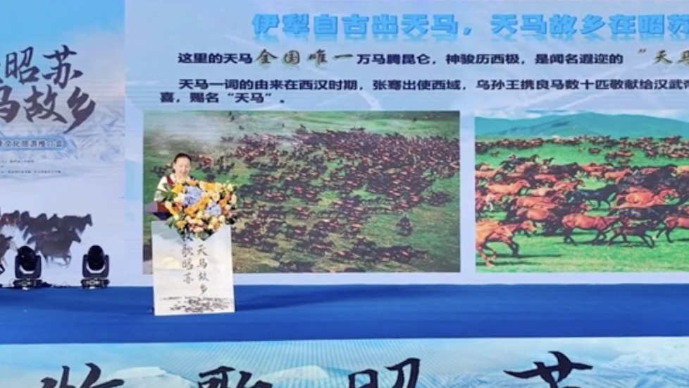 视频｜加强与蓉文旅合作 新疆昭苏来蓉邀市民“免费”耍雪  