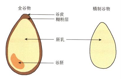 “养”出糖尿病6个习惯，很多人都爱做！逆转糖尿病做好5点